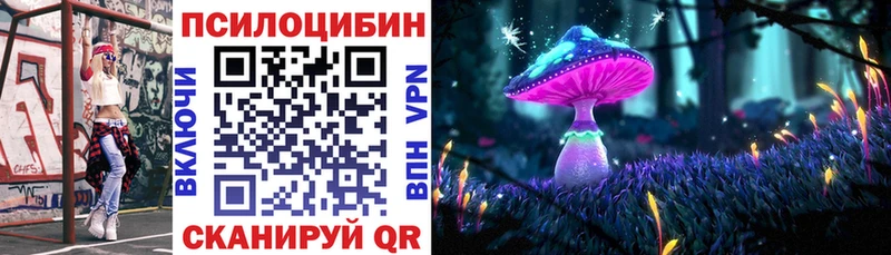 блэк спрут как войти  купить  сайты  Екатеринбург  Псилоцибиновые грибы Magic Shrooms 