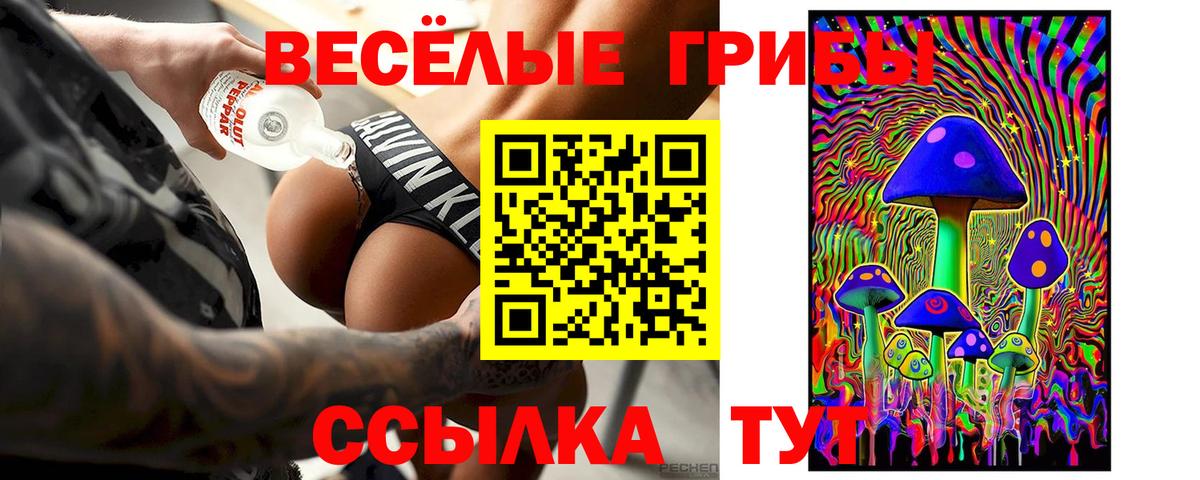 купить наркотик  Вход с VPN  Екатеринбург  Галлюциногенные грибы Psilocybe 